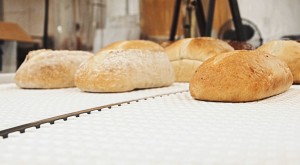Bread Conveyor